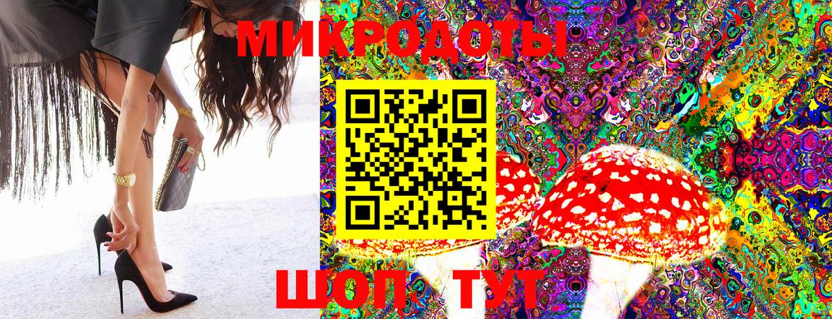 Псилоцибиновые грибы GOLDEN TEACHER  Галлюциногенные грибы GOLDEN TEACHER  Вход с VPN  наркотики  Комсомольск-на-Амуре 