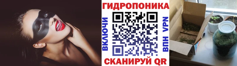 Шишки марихуана OG Kush Комсомольск-на-Амуре